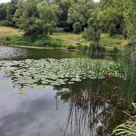 Apartament Haus Am Sonnenberg Ulmen Zewnętrze zdjęcie